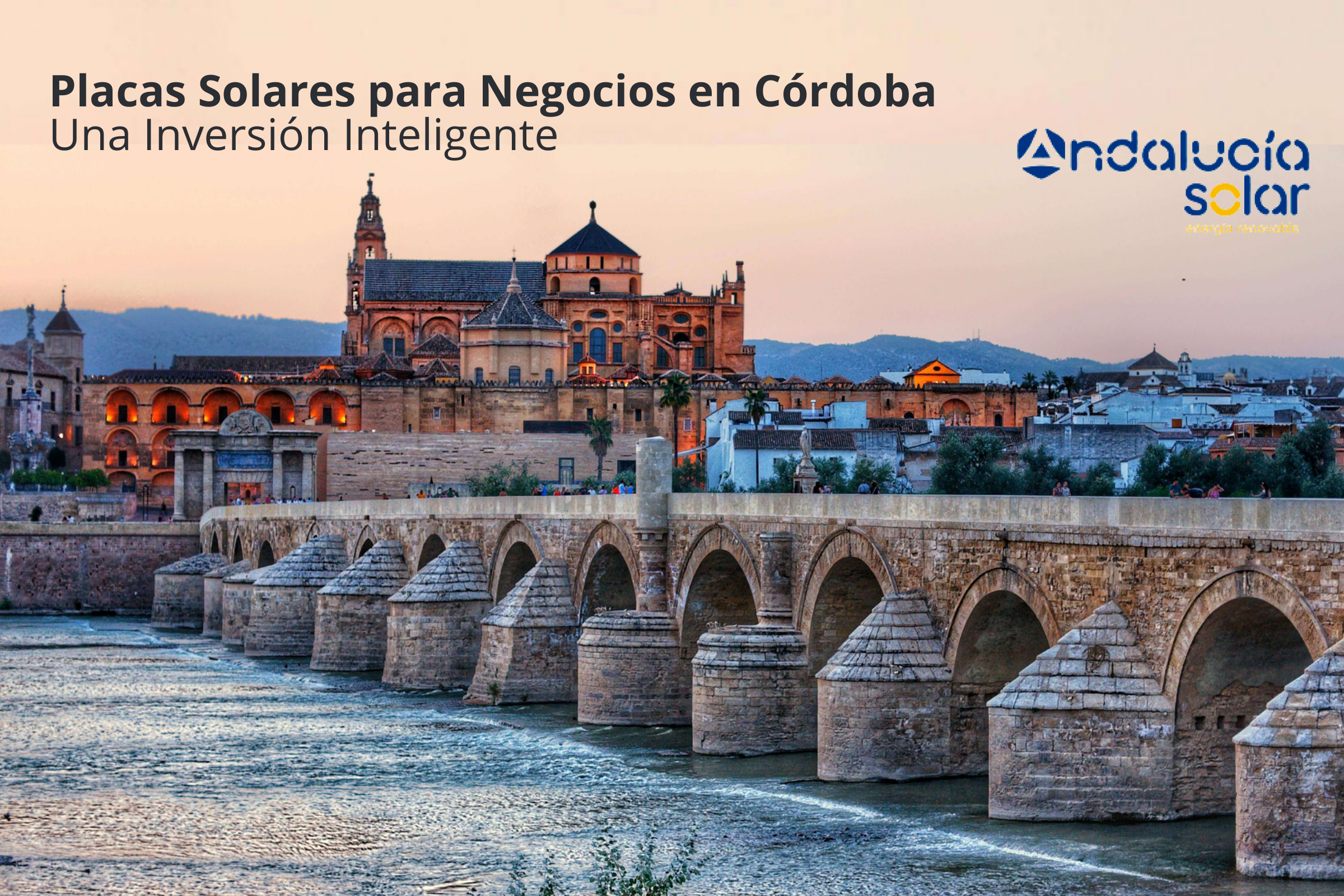 Placas Solares para Negocios en Córdoba Una Inversión Inteligente
